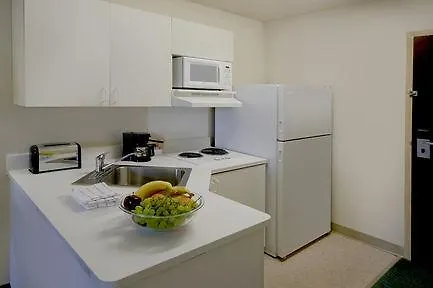 Extended America - Chicago - - Forest